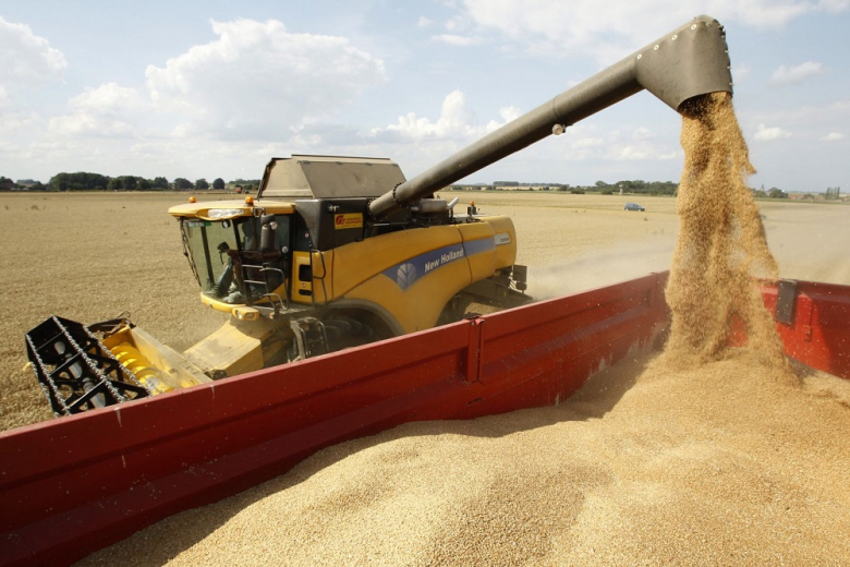 Россию ожидают сложности при экспорте пшеницы – аналитики